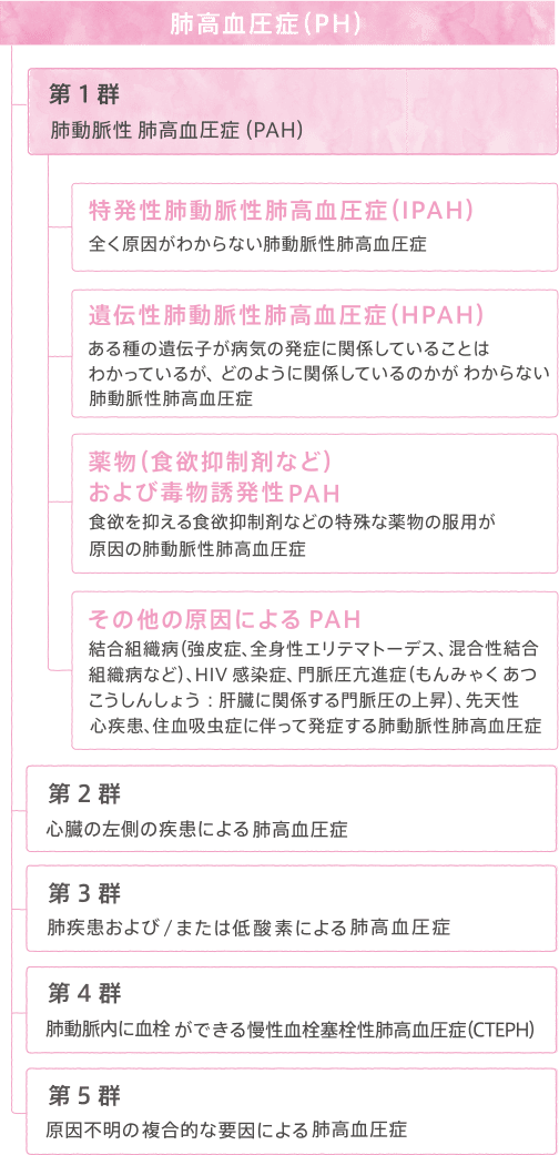 高血圧 症 肺 肺高血圧症の原因・分類・診断の流れ｜千葉大学大学院医学研究院 呼吸器内科学